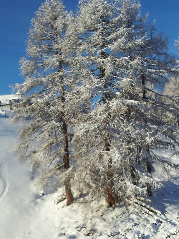 Ferienwohnung Familie Wieser Altenmarkt im Pongau Kültér fotó